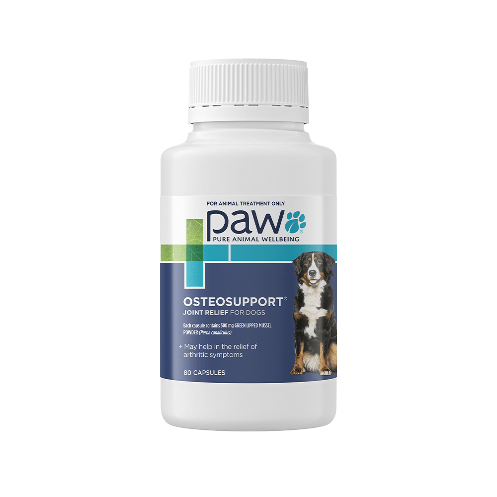 PAW®澳乐宠-宠物零食犬用绿唇贻贝胶囊