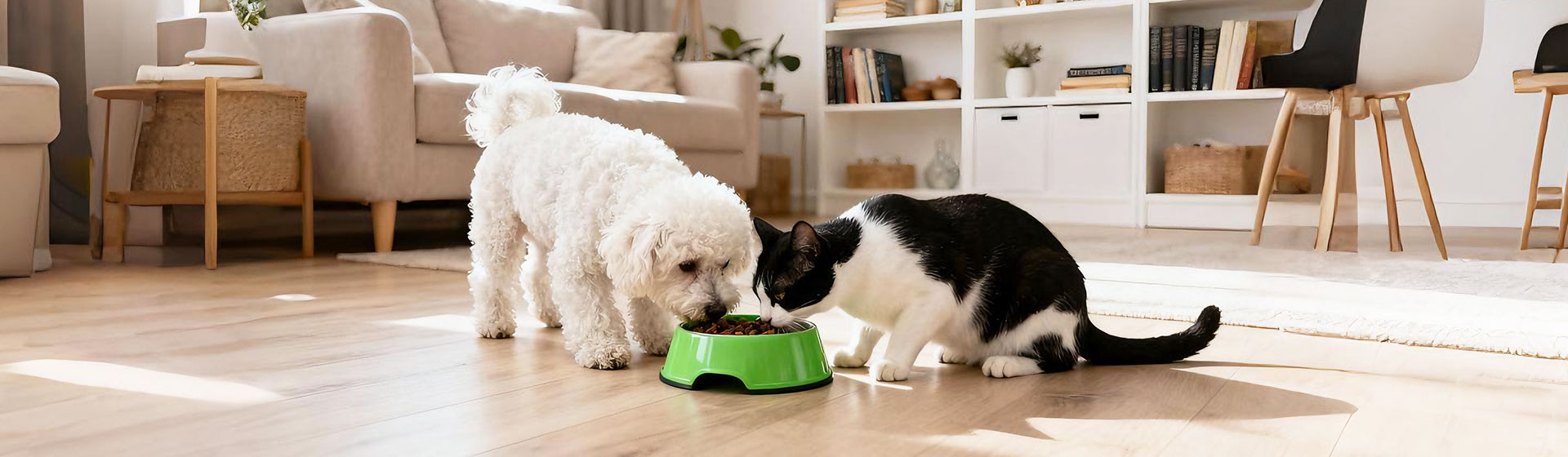 图十六1920-×-560