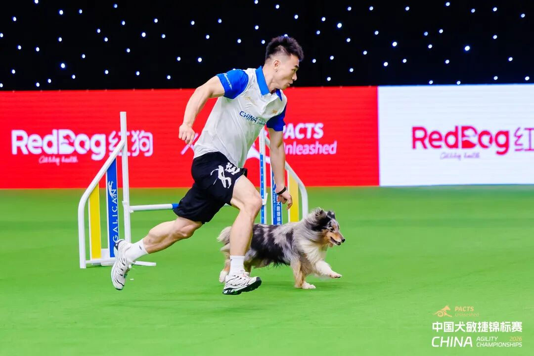 从犬猫健康中国行到金牌营养师总裁班，红狗下一个阶段如何布局3.jpg